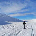 Log In Valdres Fireplace Sauna 1000 M Above Sea Level * Aurdal