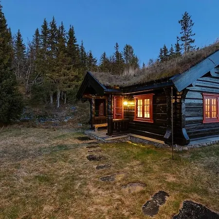 Vakantiehuis Log In Valdres Fireplace Sauna 1000 M Above Sea Level Aurdal