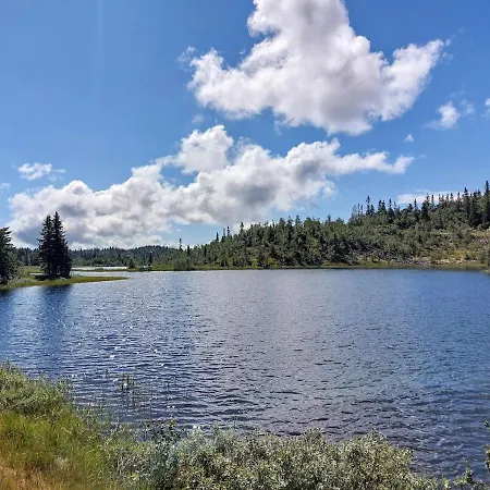Log In Valdres Fireplace Sauna 1000 M Above Sea Level Semesterbostad Aurdal