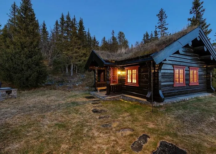 Semesterbostad Log In Valdres Fireplace Sauna 1000 M Above Sea Level Aurdal