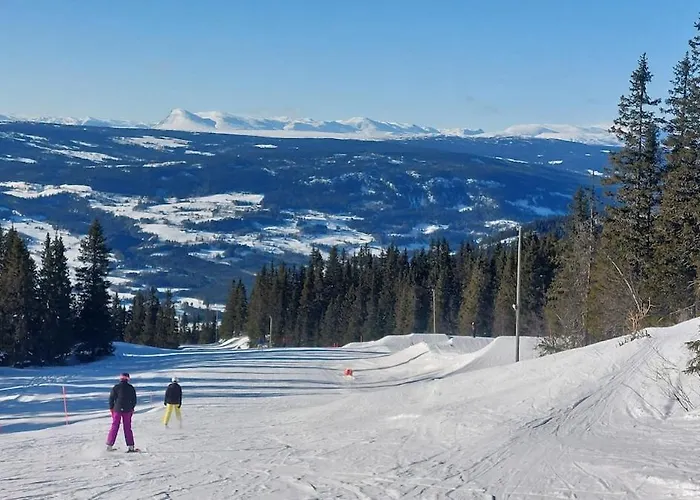 Log In Valdres Fireplace Sauna 1000 M Above Sea Level *