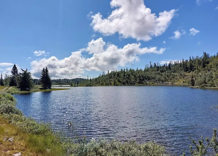 Log In Valdres Fireplace Sauna 1000 M Above Sea Level Semesterbostad Aurdal
