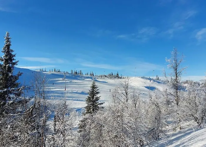 Log In Valdres Fireplace Sauna 1000 M Above Sea Level